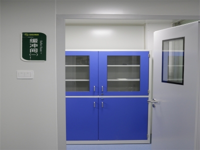 實驗室微生物室、純手工板制作、全鋼藥品柜、鋼制門 實驗室微生物室、純手工板制作、全鋼藥品柜、鋼制門